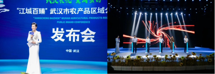 傳播硬實(shí)力 奮進(jìn)新征程 &ldquo;江城百臻&rdquo;綻放央視熒屏